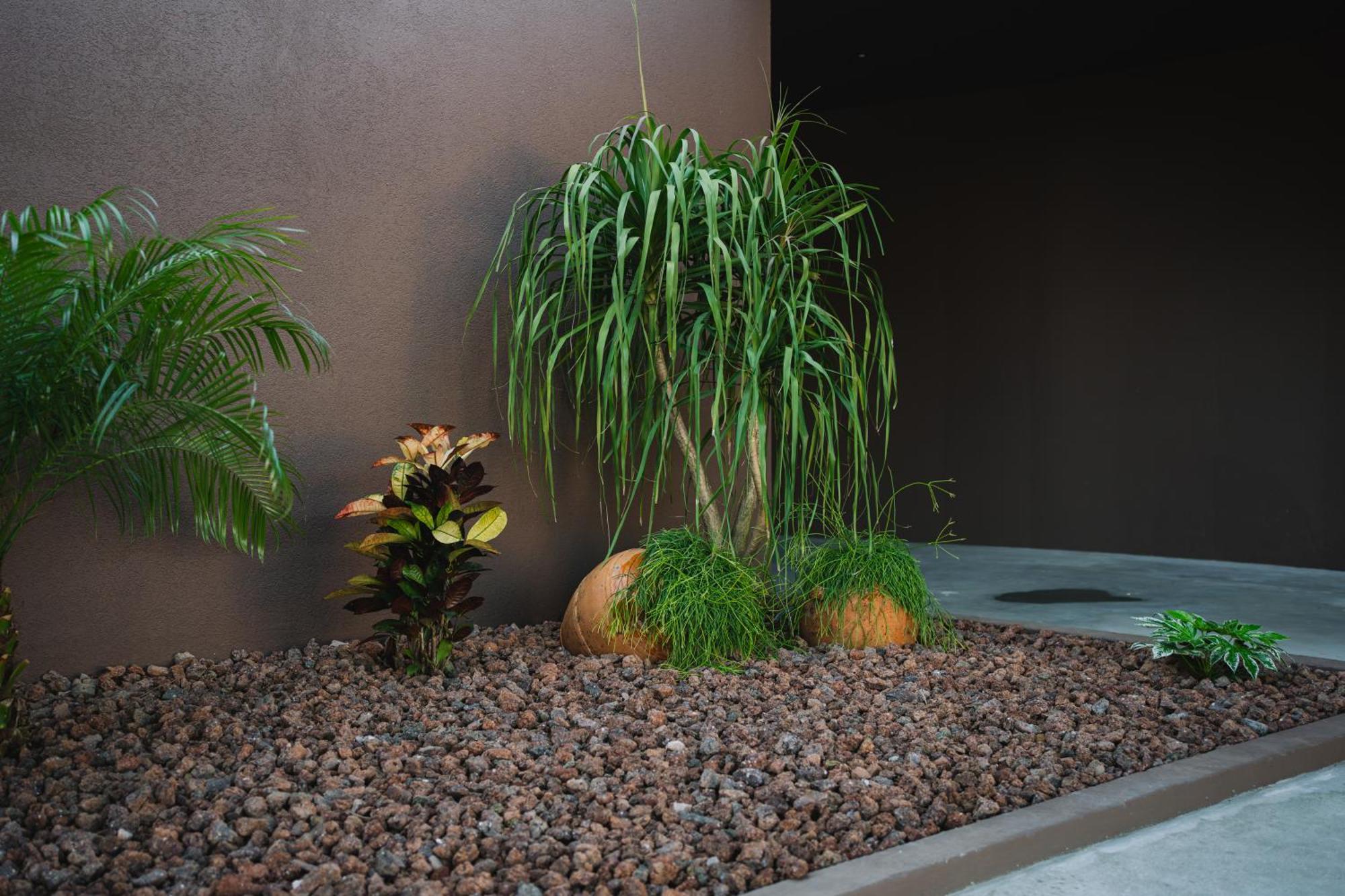 Sun House In Cabedelo Villa เวียนา โด กัสเตโล ภายนอก รูปภาพ